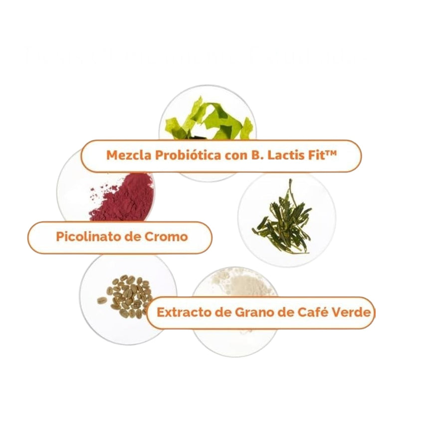 Cápsulas de Metabolismo con Soporte Probiótico Uro Metabolism + Probiotic