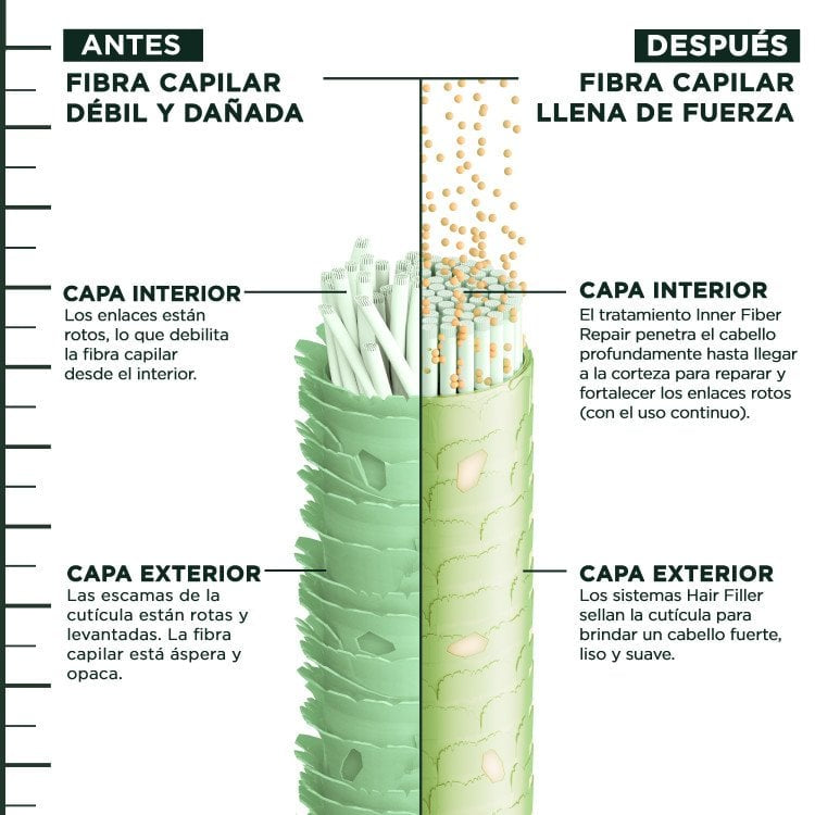 Shampoo de Cabello Garnier Fructis Hair Filler Vitamin Cg Strength Repair